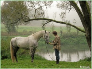 polinka 2010